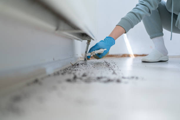 Best Wasp Removal Services  in USA